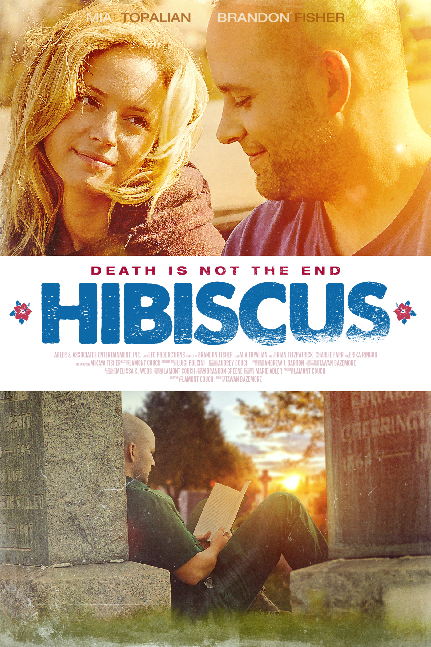 Hibiscus